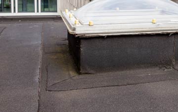 disadvantages of Saltfleet flat roofs